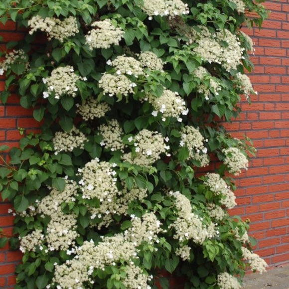 Meet your Posher, M - Picture 1 of 1